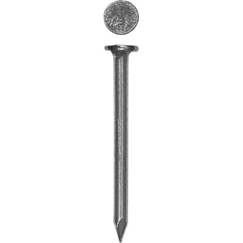 RZN331299