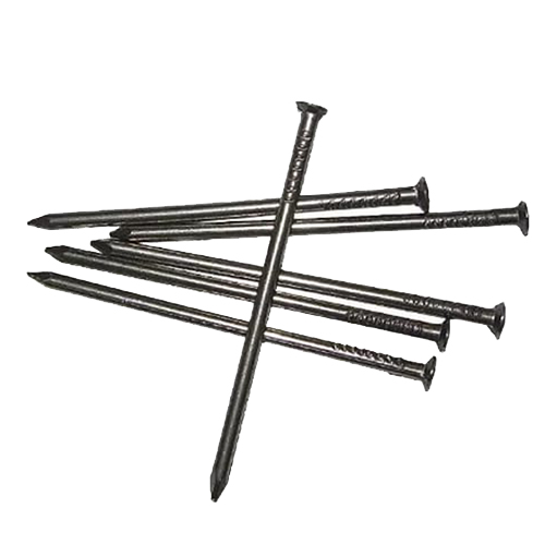 RZN1119
