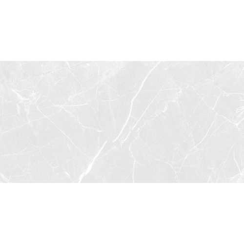 RZN303690