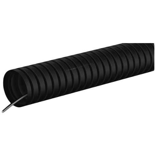 RZN552601