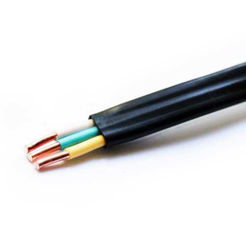RZN502835
