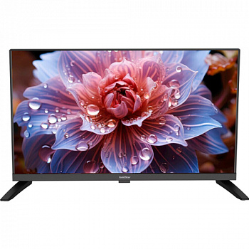 Телевизор 24" Goldstar LT-24R1000